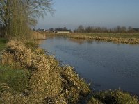 NL, Noord-Brabant, Grave, Graafsche Raam 1, Saxifraga-Jan van der Straaten